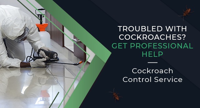 pest control services in Ahmedabad