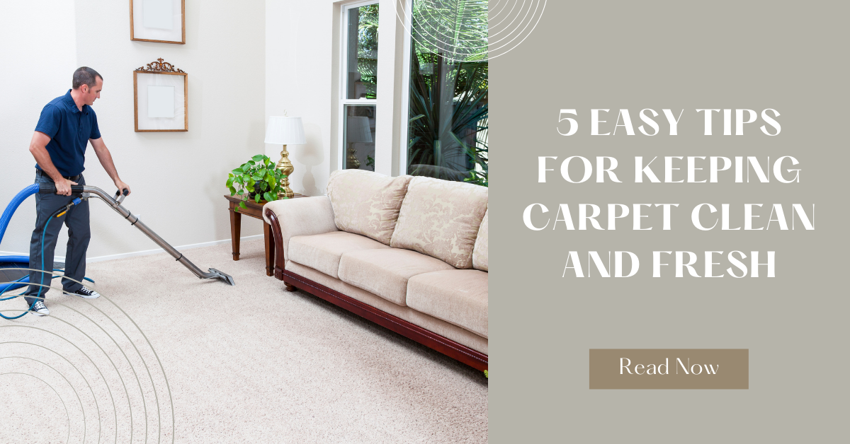 5 Easy Tips for Keeping Carpet Clean and Fresh