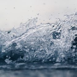 samara-doole-294959-unsplash-250x250
